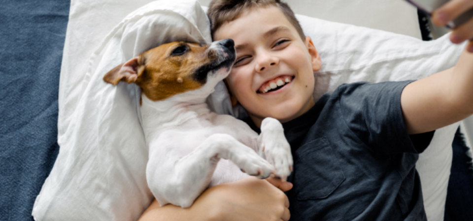 I tuoi amici a quattro zampe,