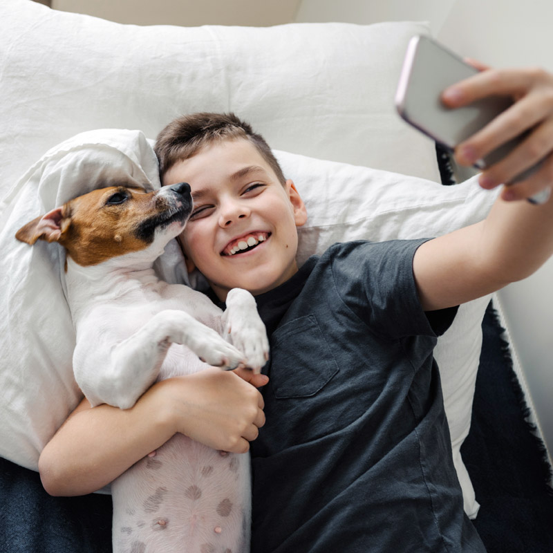 I tuoi amici a quattro zampe,